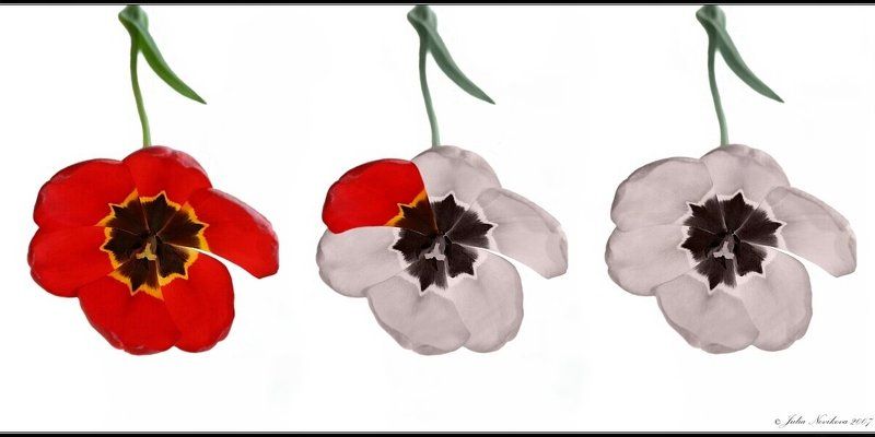 переход, в, другое, качество Иное качество...photo preview