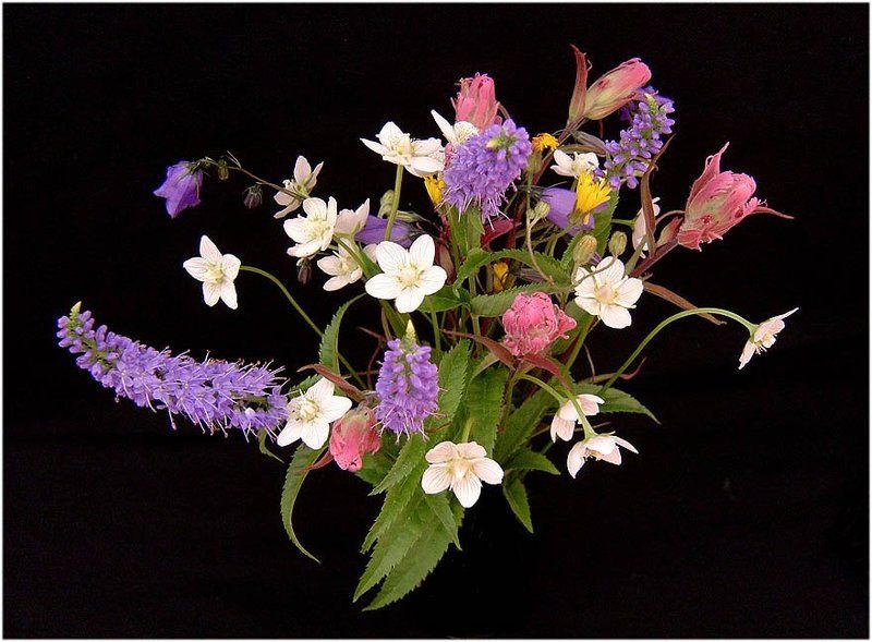 цветы Букетик таёжных цветовphoto preview