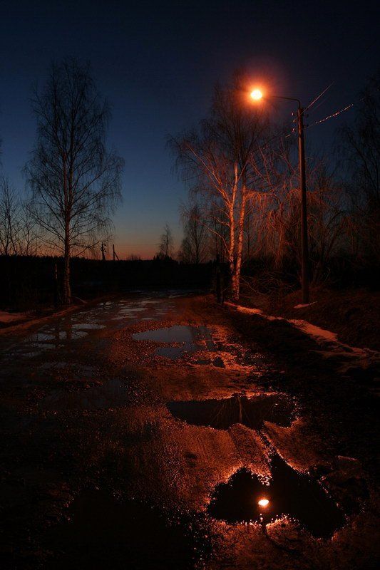 осень, золото И весна бывает золотойphoto preview