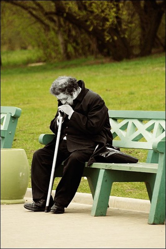 парк, скамейка, коломенское В паркеphoto preview