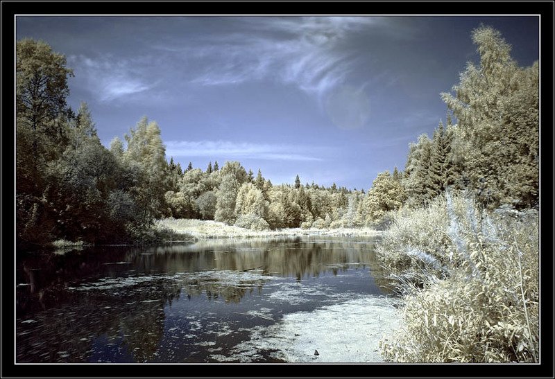 ик, инфракрасное, infrared, лес, озеро Летняя зимаphoto preview