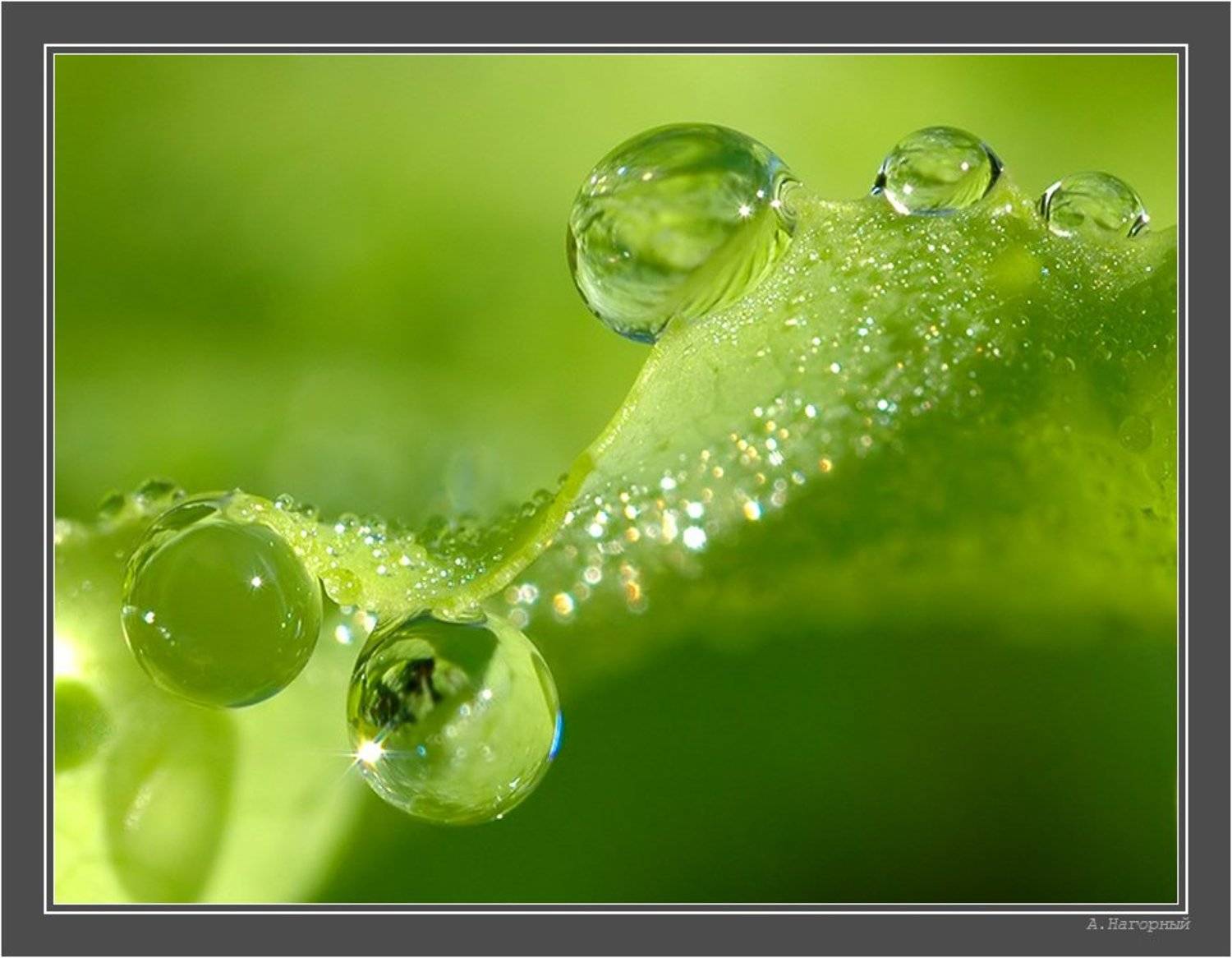 раннее утро, солнце проснувшись светит, счастья вам люди!, (хокку) =), ФотоМаньяк