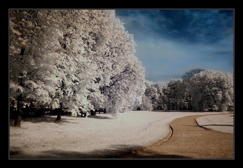 ик, infra red, инфракрасная съемка FITO LIGHTphoto preview