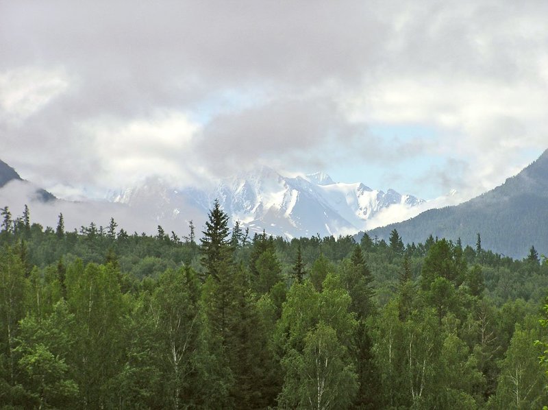 алтай, катунский хребет Пробуждение Катунских Белковphoto preview