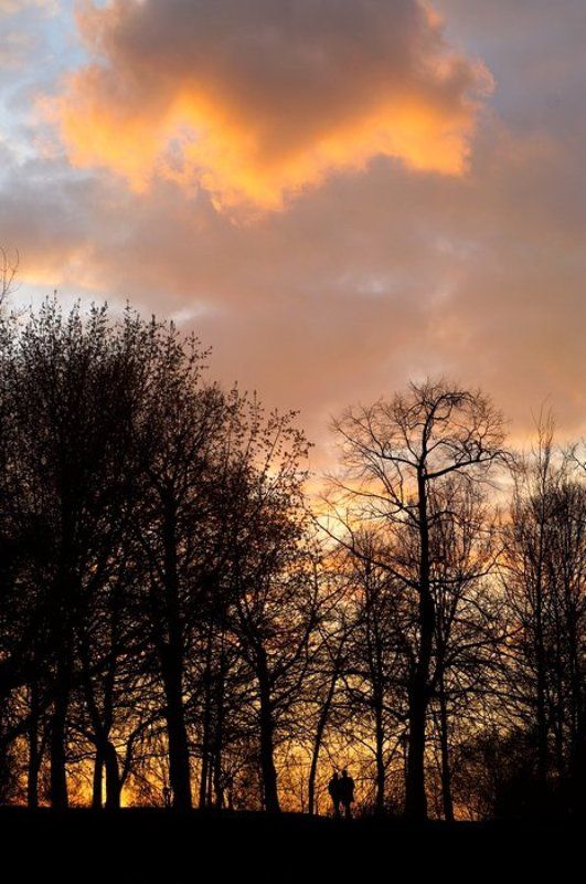 коломенское, закат Гости на землеphoto preview