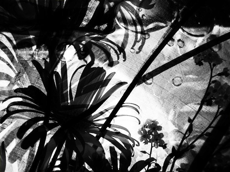 время. забыватьphoto preview