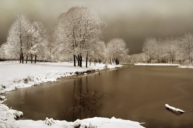 18 декабряphoto preview