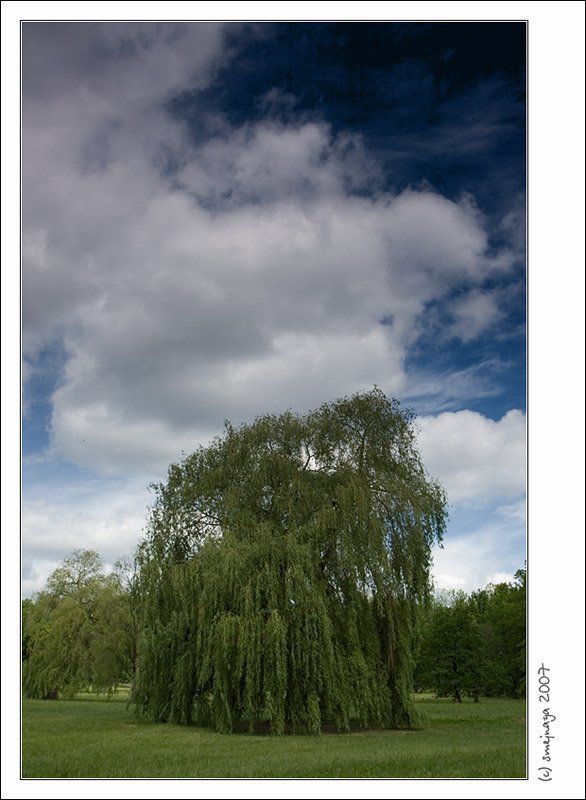 прага о Прагеphoto preview