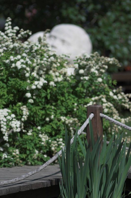 китай, цветы, мост Сад в китайском стилеphoto preview