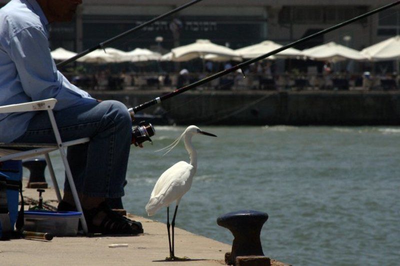 igalsc, genre В ожидании уловаphoto preview