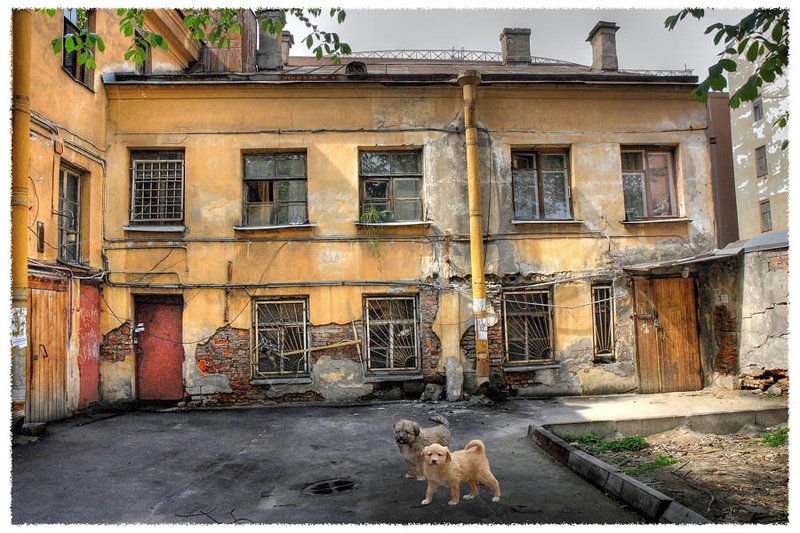 Столичный двор и его обитателиphoto preview