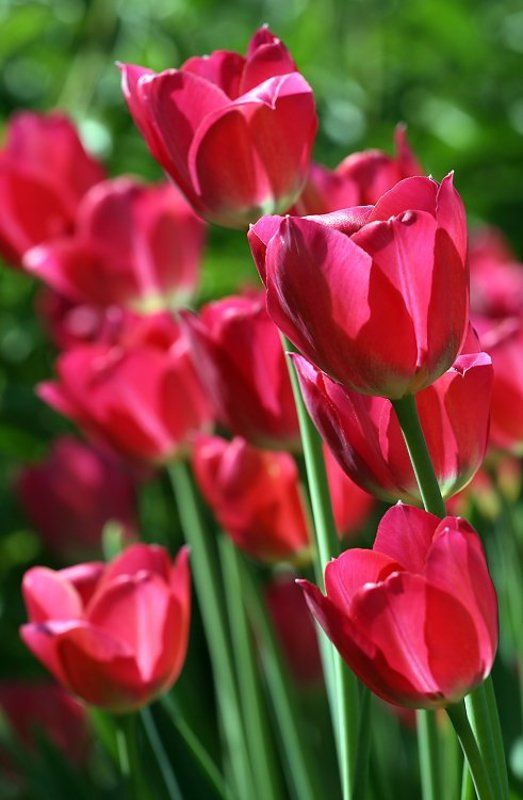 С праздником !photo preview