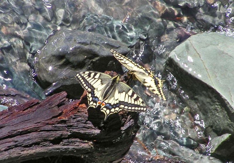 Do you love me?photo preview