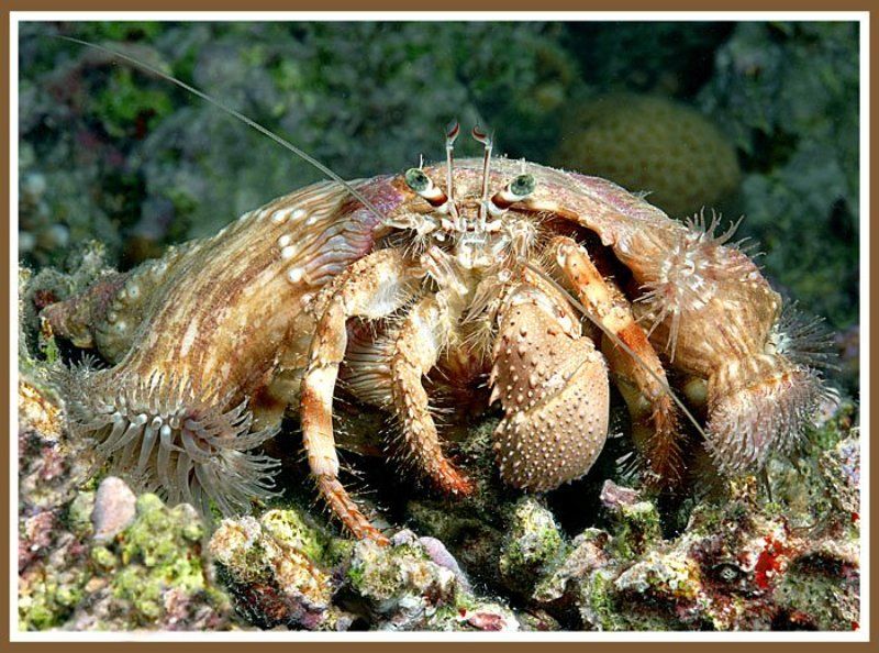 Ночное таксиphoto preview