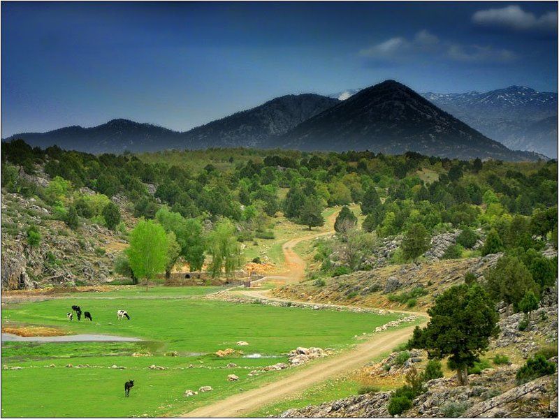 горы, турция, луга photo preview