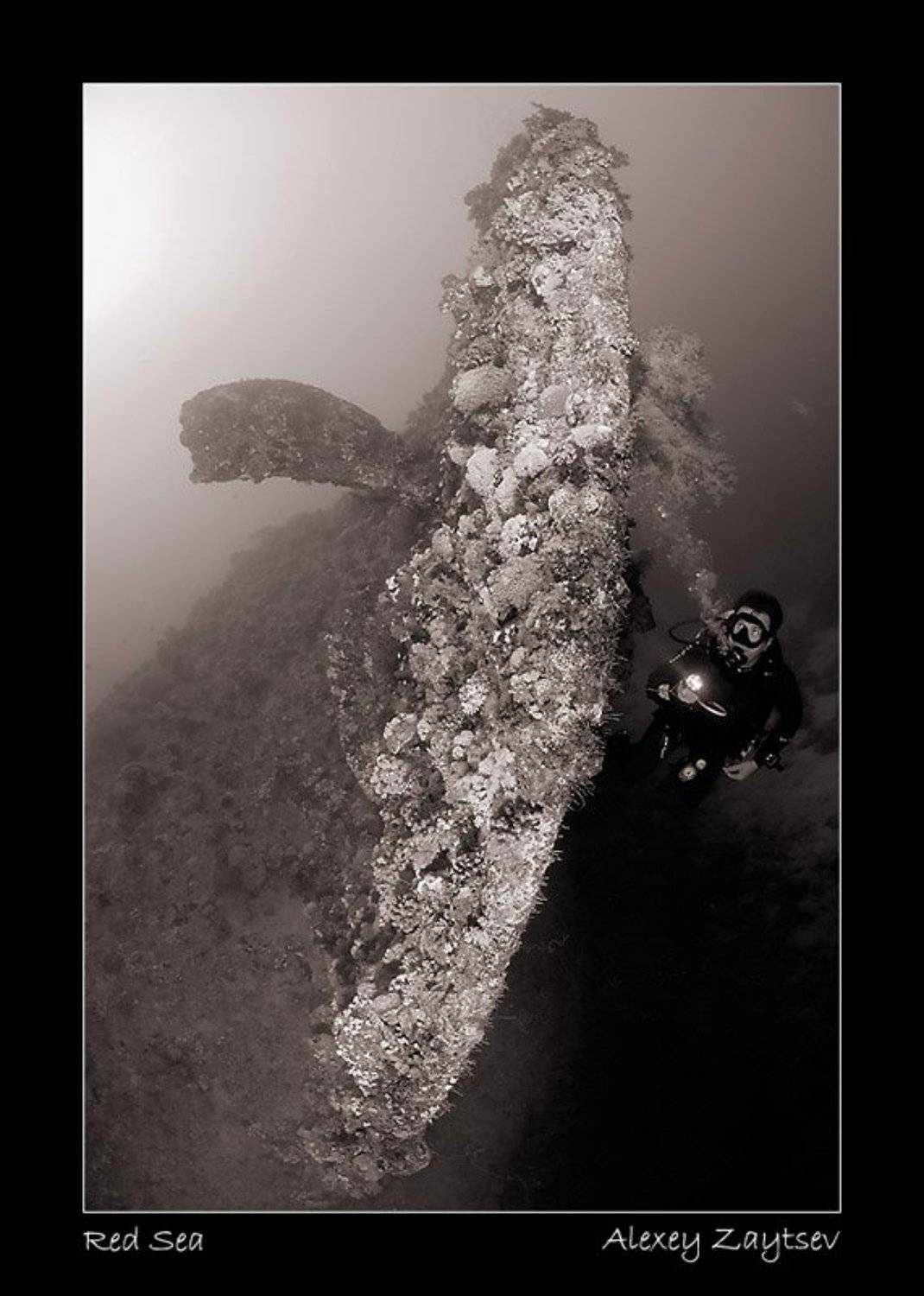 зайцев, затонувший корабль, винт, рулевое оперение, дайвер, Алексей Зайцев