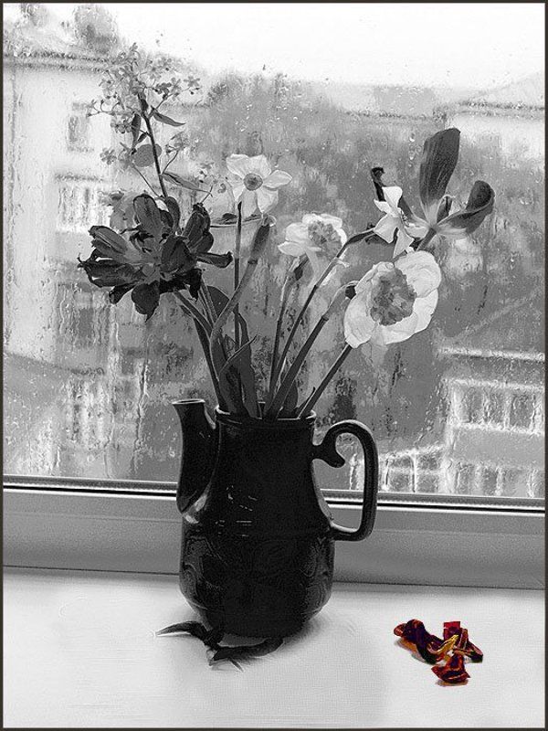 В дождьphoto preview