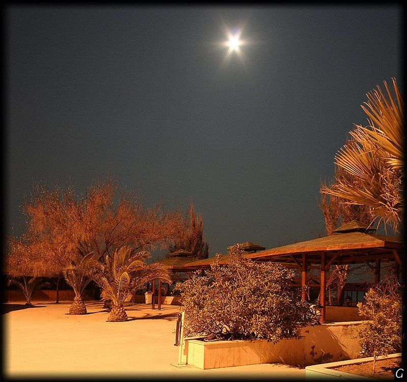 турция, айвалык, ночь, луна, начало, апреля, не сезон, отель Ночь. Луна. Отель. Не сезон.photo preview