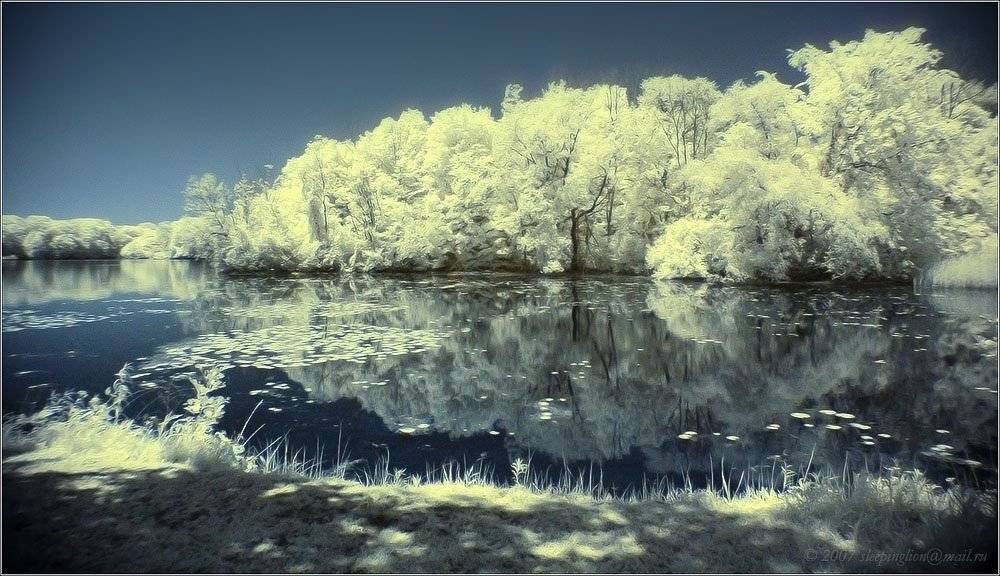 Холодная жара.... Автор: Pilgrim ик, пейзаж, infrared, Pilgrim