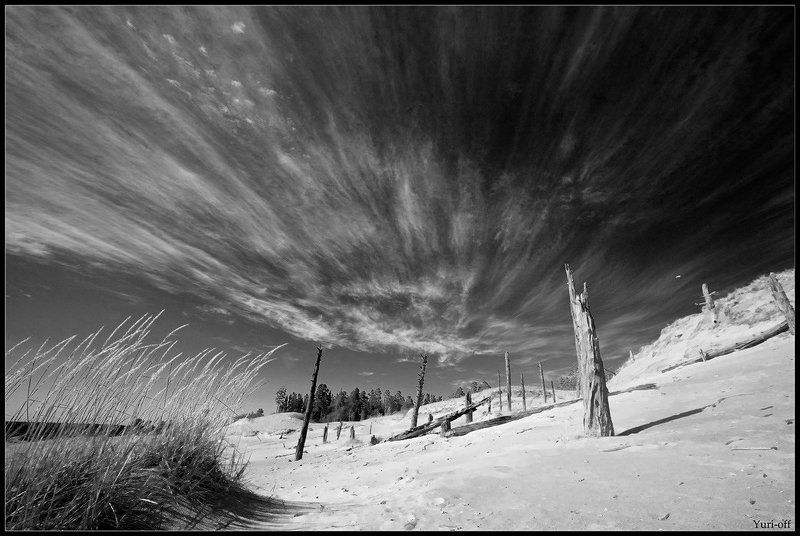 В ладожских дюнах......photo preview