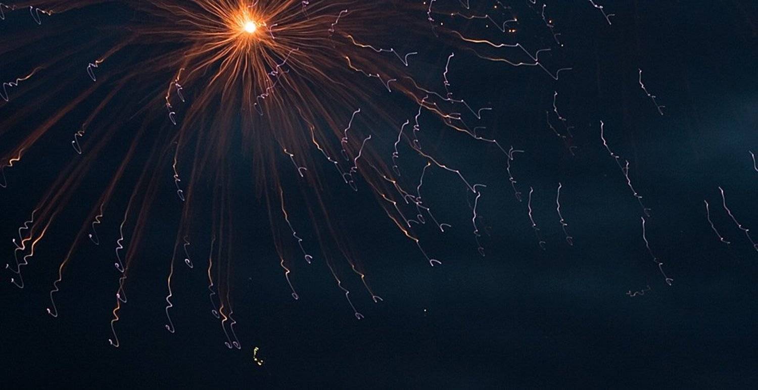 салют, феерверк, Александр Решетняк