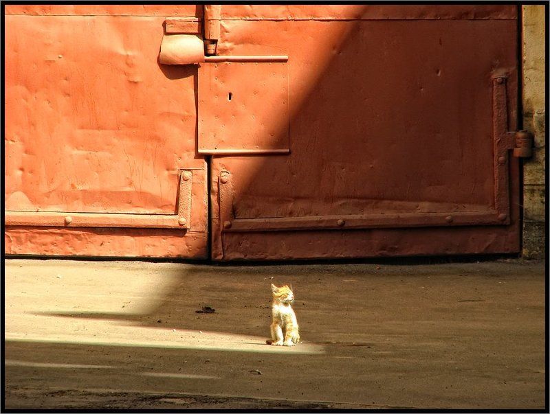 Солнечные ванныphoto preview