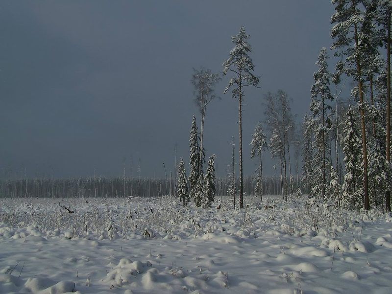 зима, снег Зимнее затишьеphoto preview