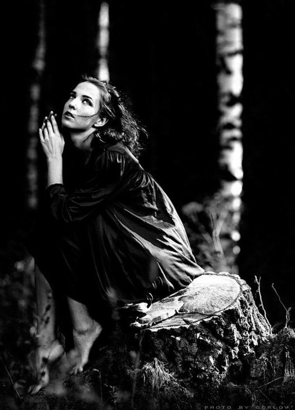 wind...photo preview