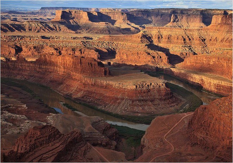 Гусиная шея.photo preview