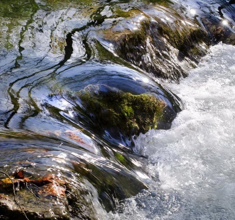 вода,мох,отражение посвящается Осени!photo preview