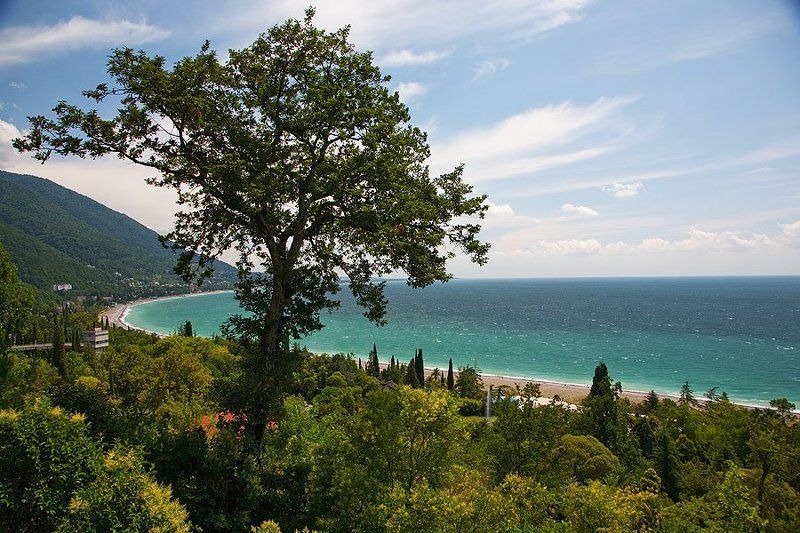 пейзаж, летний  пейзаж, горы, кавказ, абхазия, море, природа Летний день в Гаграхphoto preview