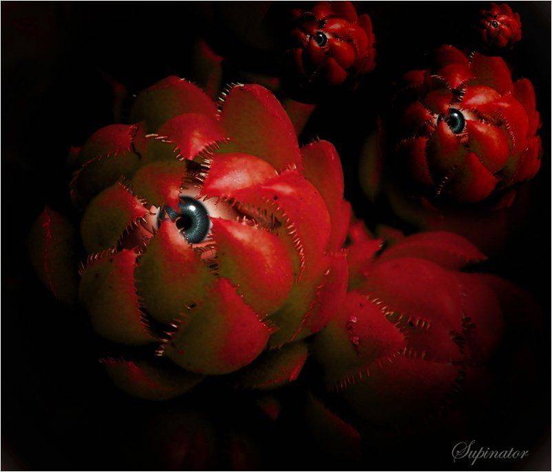 лонгольеры, стивен кинг, страх, ужас, SUPINATOR