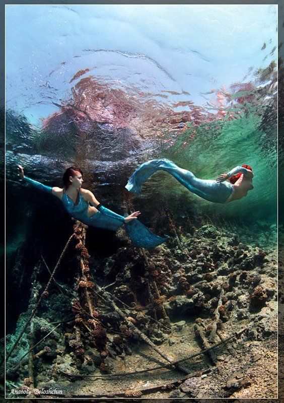 red, sea, big, brother, anatoly, beloshchin, underwater, nude, &, fashion, русалка, mermaid \