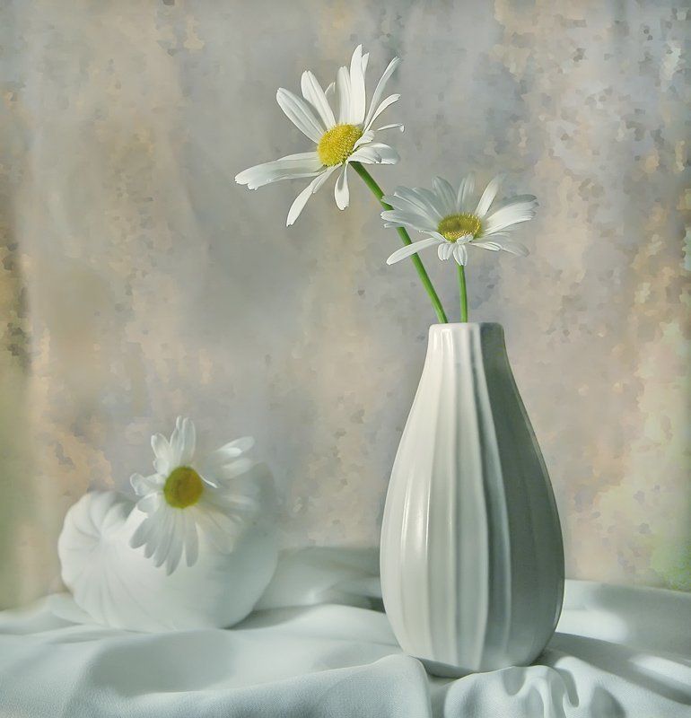 Нарисую ромашкиphoto preview