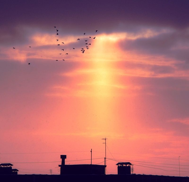 падал редкий снег.., а жизнь стремилась к светуphoto preview