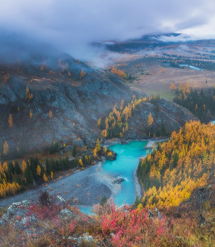 Горный Алтай. Долина р. Аргут. октябрь 23photo preview