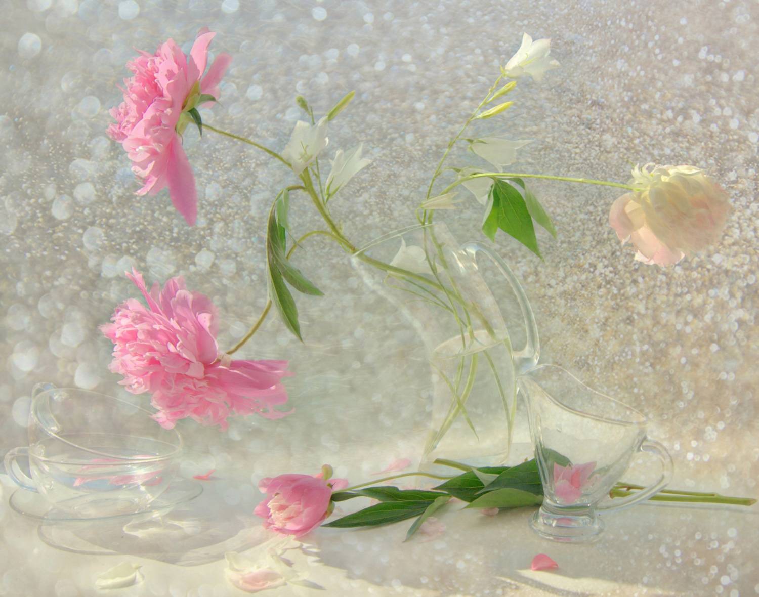 Танцующие пионы. Автор: Хохлова Наталья , Хохлова Наталья