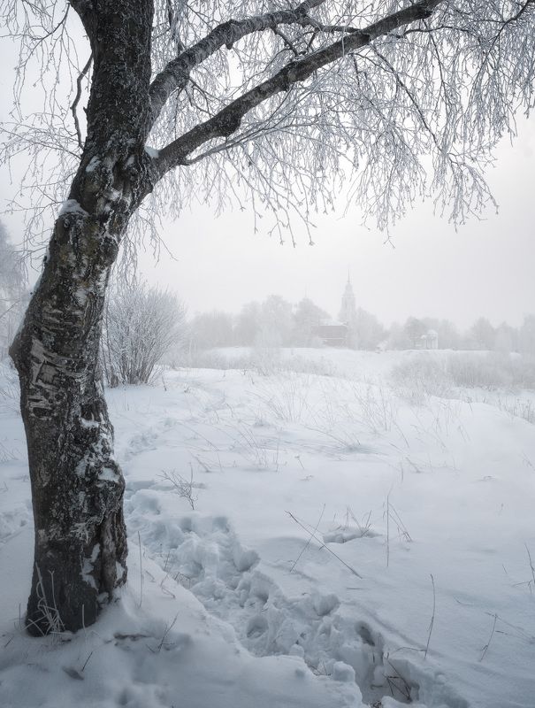 зима,снег Зимнее утро⁠⁠photo preview