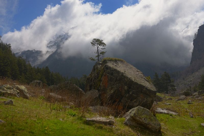 Бонсай на Кавказеphoto preview