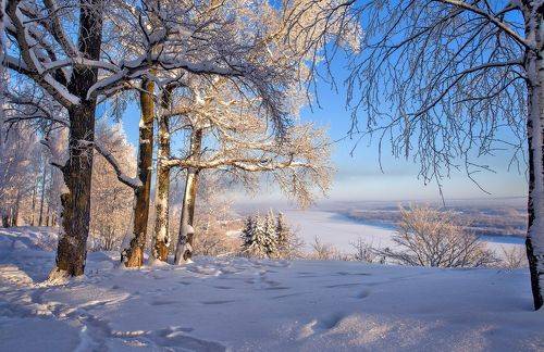 Морозный день