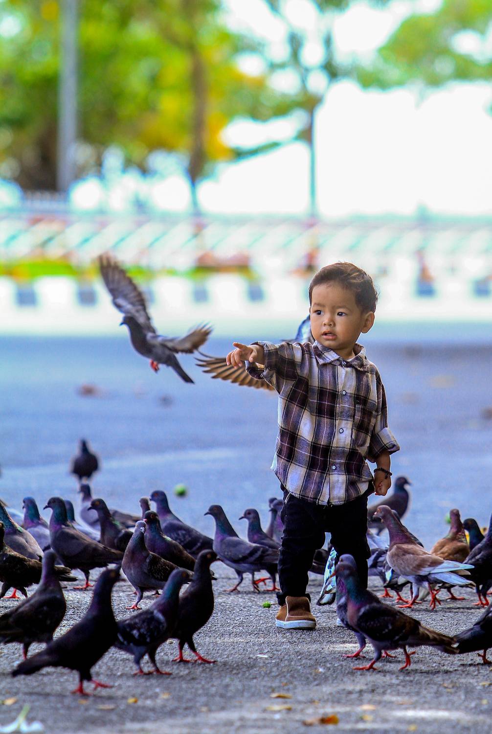 Автор: Heri Wardana , Heri Wardana