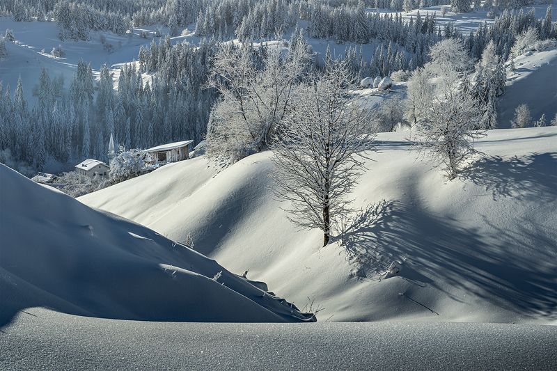 December / Декабрь