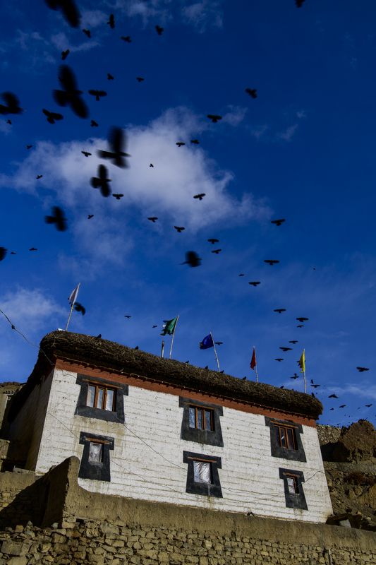 Himalayaphoto preview