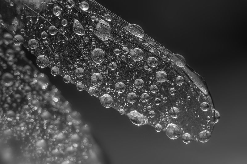 Water photographerphoto preview