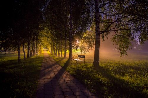 Таинство ночи