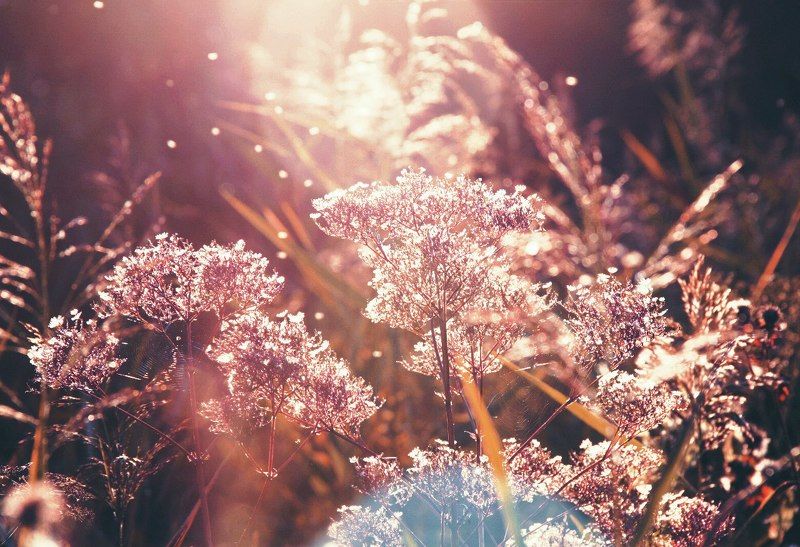 в розовых очкахphoto preview