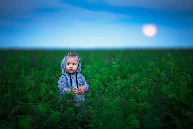 НА проверку)photo preview