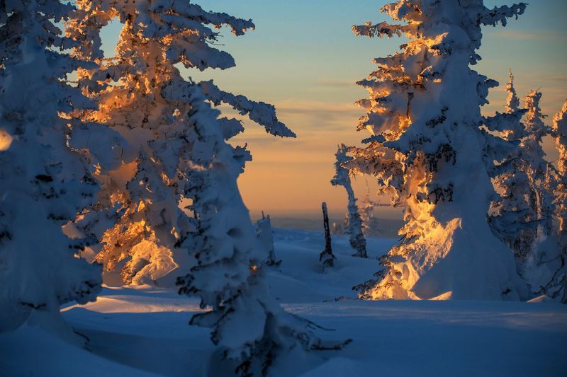 сибирь, шерегеш, снег, мороз, горы, лес, пейзаж, природа, Золотом по Сибирским склонам...photo preview