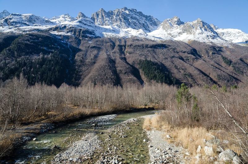 У горонй рекиphoto preview