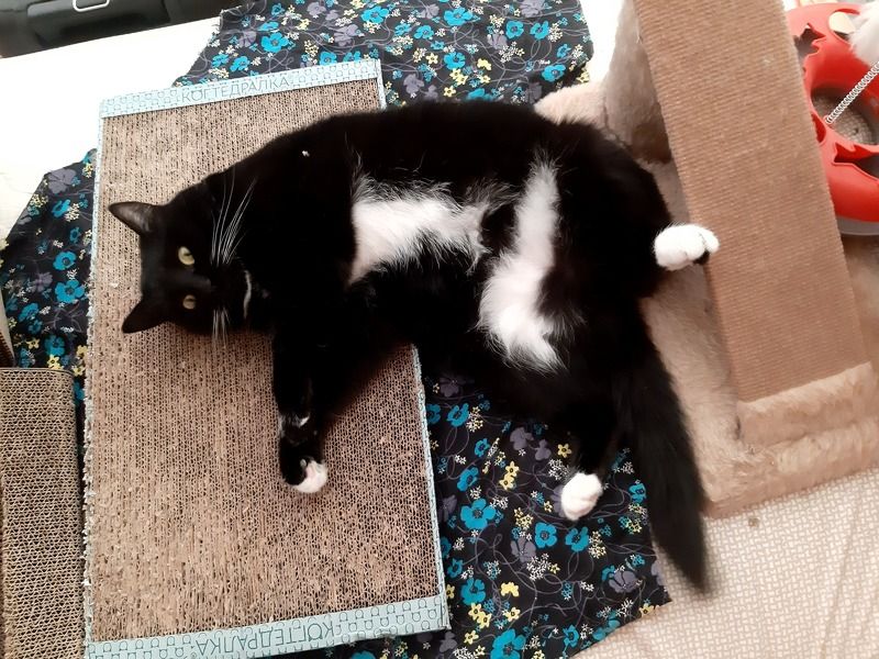 -27°С за окном - +27°С домаphoto preview